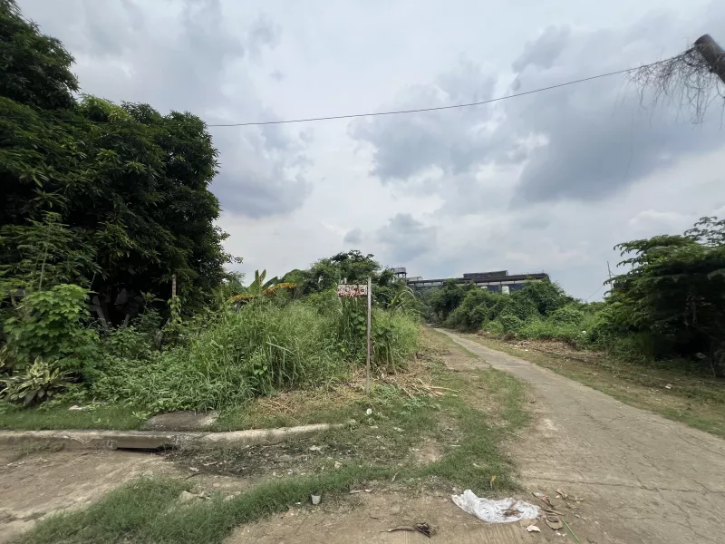 FOR SALE- Vacant Lot in Brgy. Rosario, Pasig City
