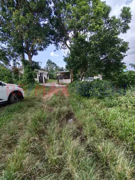 2.1 Hectares Land for Sale in Amadeo, Cavite