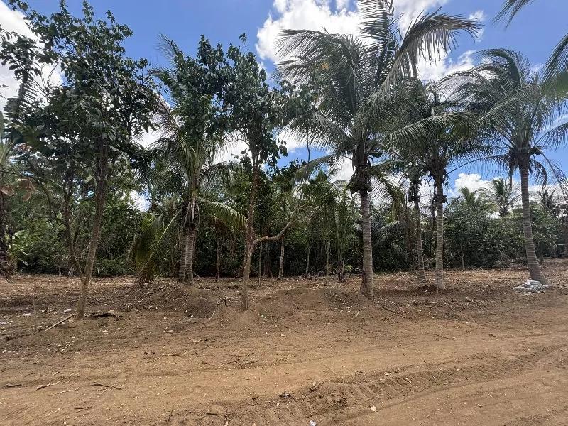 Accessible Resi Farm Lot near Tagaytay