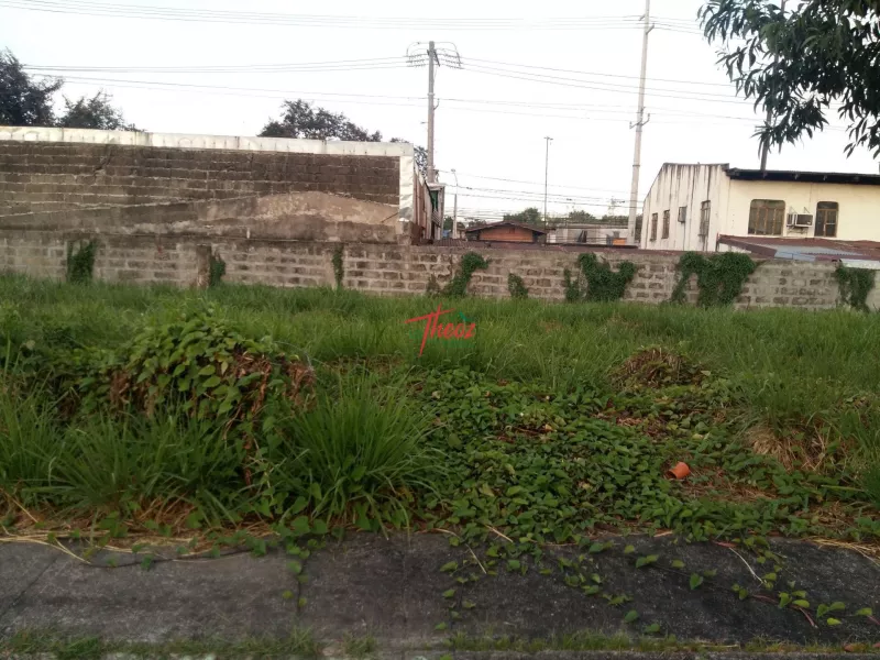 Build Your Dream Home: 165 sqm Lot in Villa Caceres for SALE