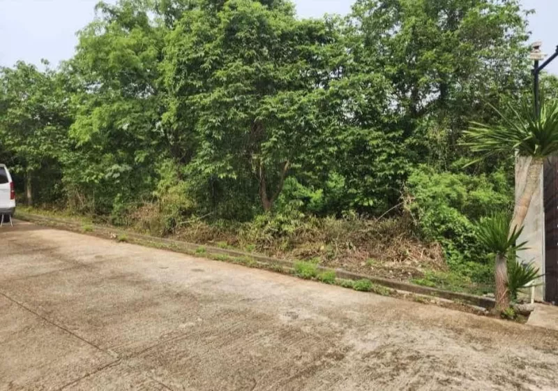 750 sqm Vacant Lot for Sale in Tali Batangas, walking distance to the BEACH!