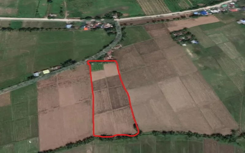 Farm Rice Land For Sale In Ormoc City