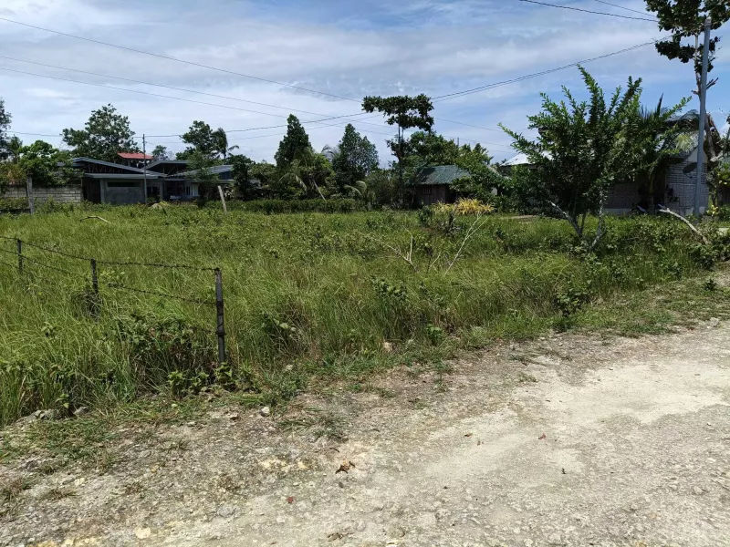 Corner 510sqm clean title lot in Lourdes Panglao Bohol
