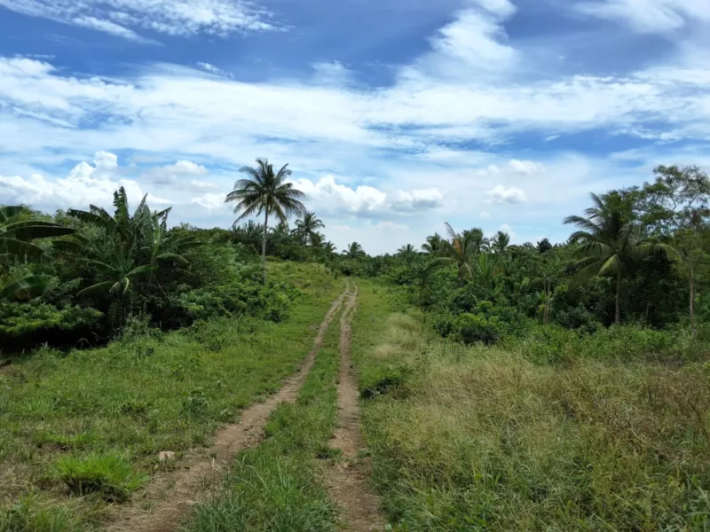 LOT in Mataas na Burol, Silang near Tagaytay for SALE! 5,000 sqm at 3k per sqm