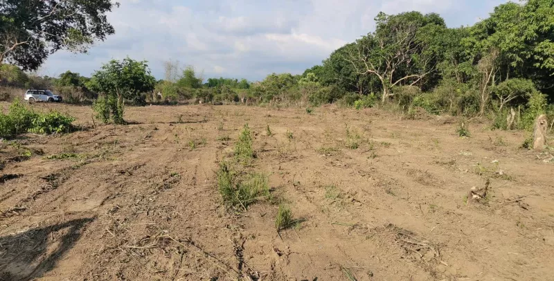 Titled subdivided residential/farm lot