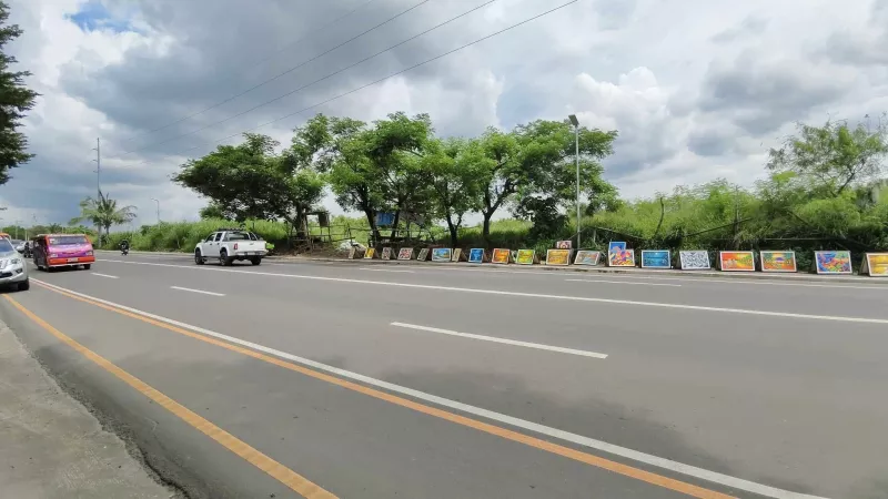 1.8 hectares Commercial Lot for sale in Bacolod City