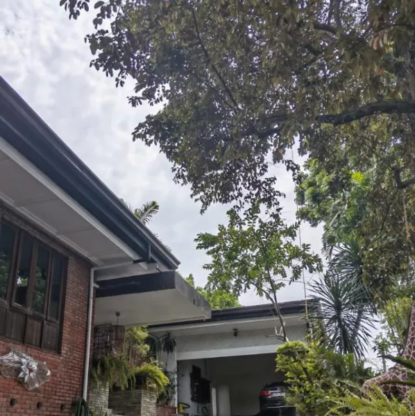 For Sale: Monte Vista Property with 2 Big Houses in Marikina