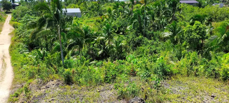 350sqm clean title lot for sale in San Isidro, Tagbilaran City 2,500 per sqm