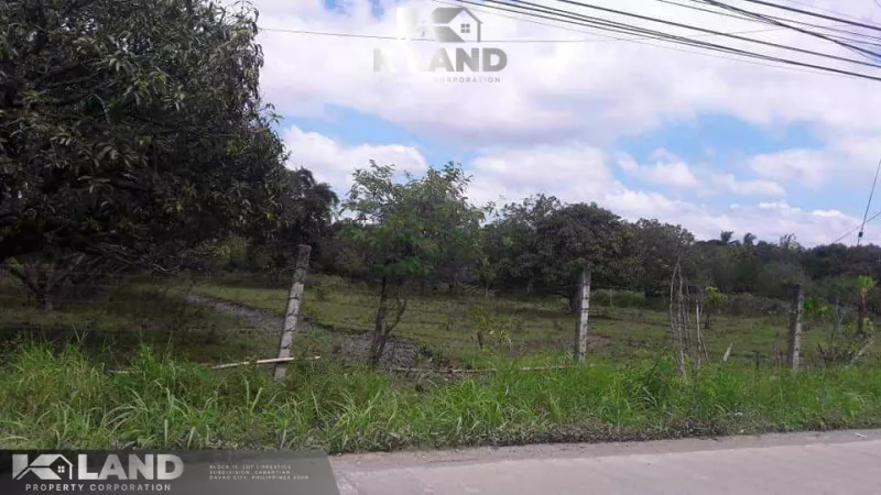 Prime Lot for Sale in Panabo City!