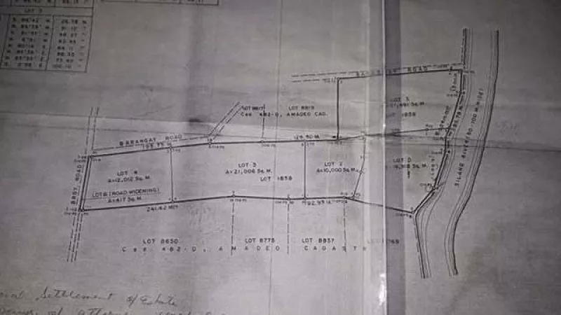 21,000sqm Agricultural Lot For Sale at Minantoc East Amadeo Cavite