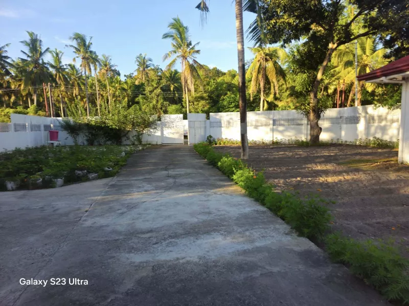 Bohol 3BR house and lot for sale 2,000 sqm Alburquerque Bohol 11m negotiable
