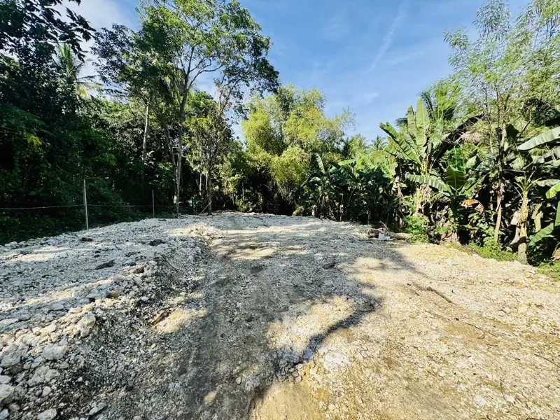 Clean Titled Lot Ready to build your dream House