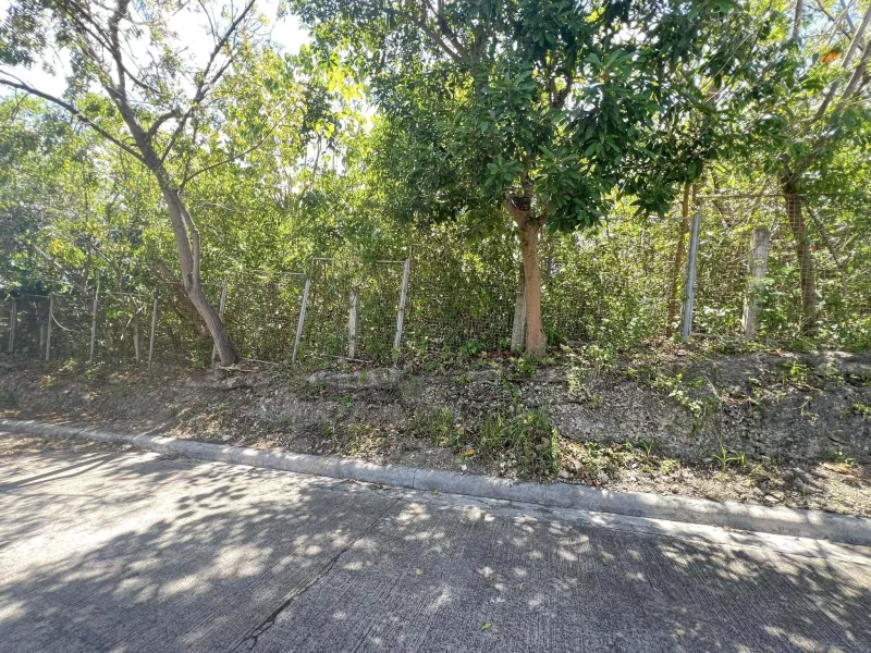 5,218 sq.m Residential Lot for sale in Ma Luisa Estate Park, Banilad, Cebu City