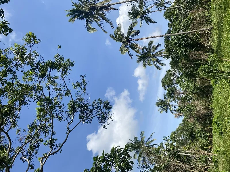 Resi-Farm For sale Near Tagaytay Payable up to 5 yrs