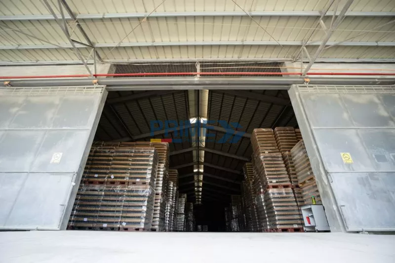 2,289 sqm Warehouse for lease in Pangasinan