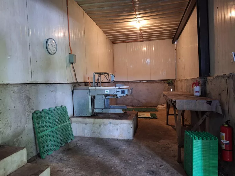 FOR SALE POULTRY FARM ( BREEDER )