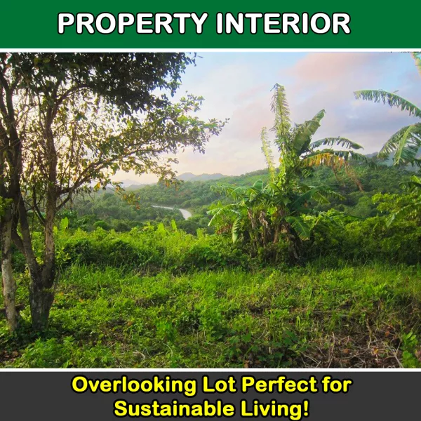 52,610 m2 Overlooking Agricultural Estate with Boundless Potential in El Nido
