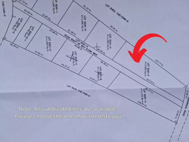 2,953 sqm Lot for Sale Near Santiago Beach, Camotes Island