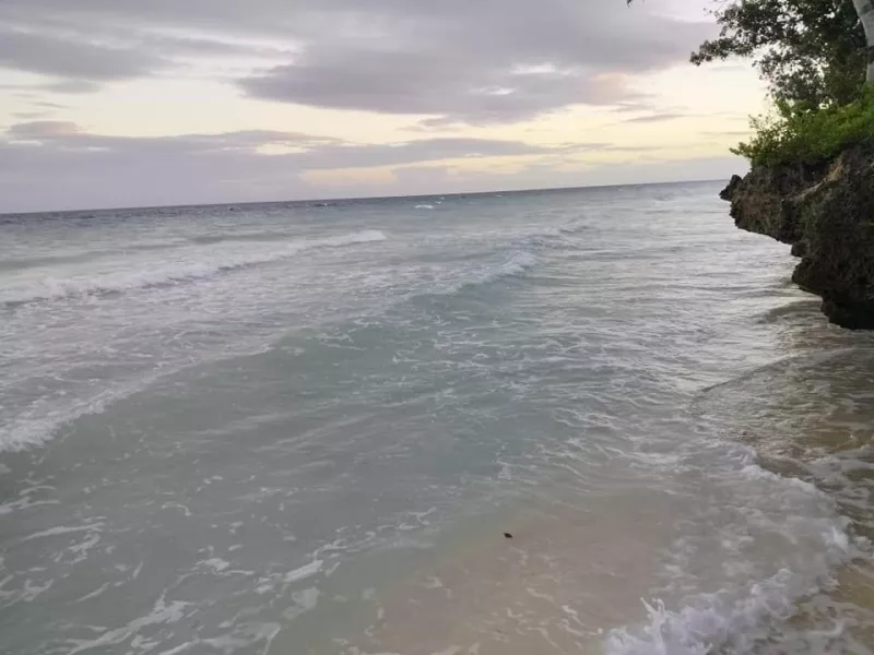Beach lot for sale 1,450 sqm clean title Anda Bohol Philippines 14k/sqm
