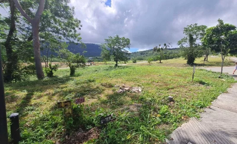 Vacant lot for sale at Ayala Greenfield Estates (Phase 8)