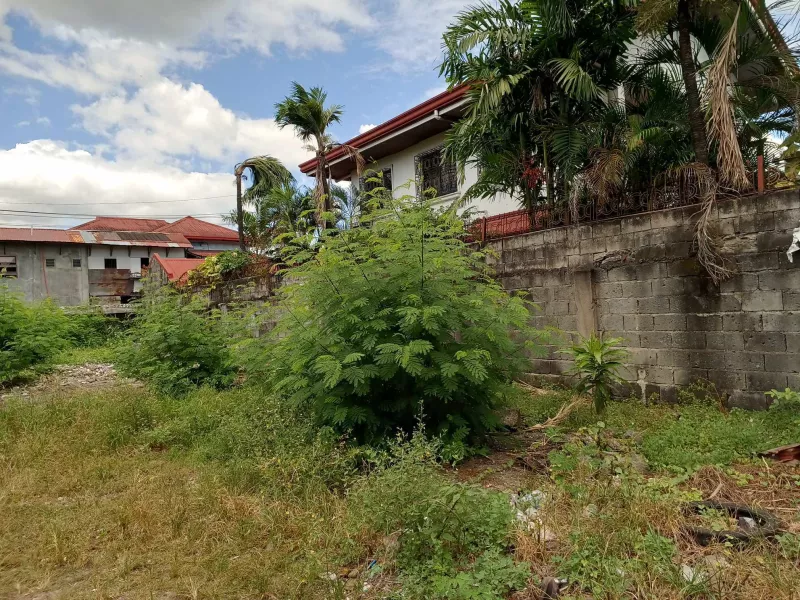 P3123863 Commercial Lot for Sale in Sta Ana Pateros