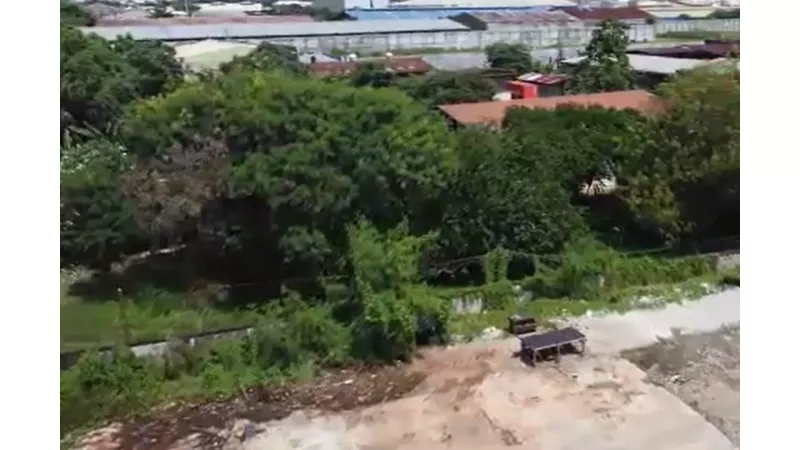 7,150 sqm Vacant Lot for lease in Subangdaku, Mandaue City