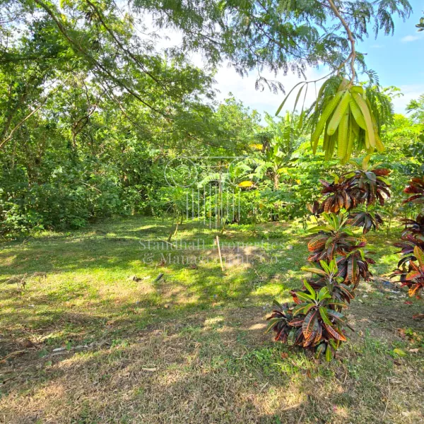 Vacant Residential Lot in Ayala Greenfield Estates, Calamba, Laguna For Sale