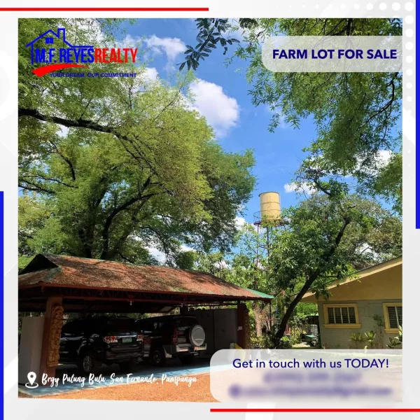 FOR SALE | 9,194 sqm Hidden Paradise in the City of Angeles