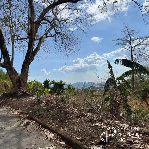 Vacant Lot For Sale at Beverly Hills Subdivision, Antipolo
