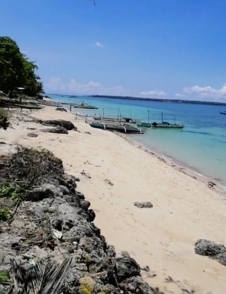 For sale 3.5hec beachlot in Medellin Cebu 10mins away to newairport 5k ...